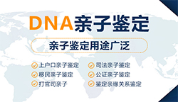 无锡司法DNA亲子鉴定如何收费(附2025最新汇总)