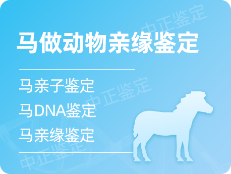 无锡马做动物亲缘鉴定