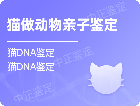 无锡猫做动物亲子鉴定
