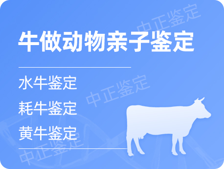 无锡牛做动物亲子鉴定