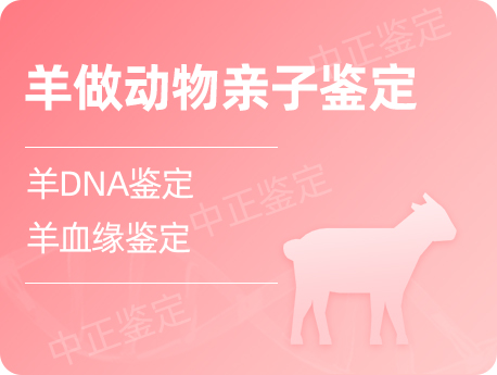无锡羊做动物亲缘鉴定