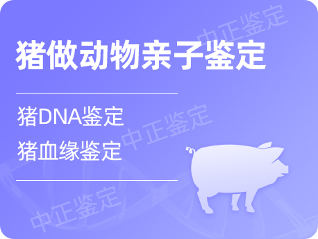 无锡猪做动物亲子鉴定