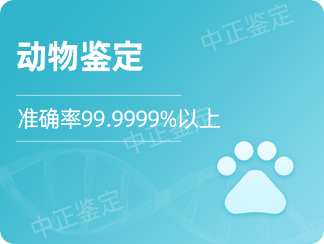 无锡动物鉴定